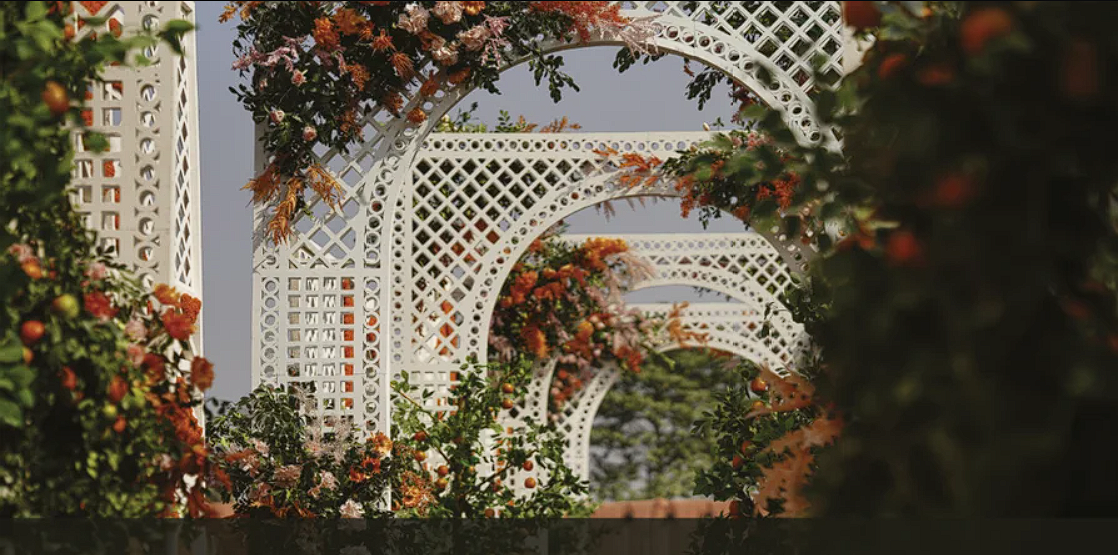 Sygmaz’s Charismatic Anecdota